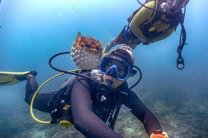 Mantanani Island: One-Day Diving Paradise from Kota Kinabalu photo 3