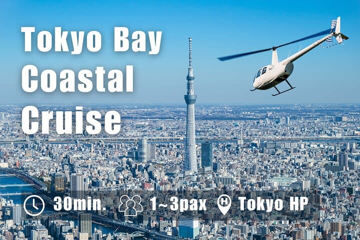 Tokyo Skyline from Above: Private 30-Minute Central Helicopter Tour photo 6