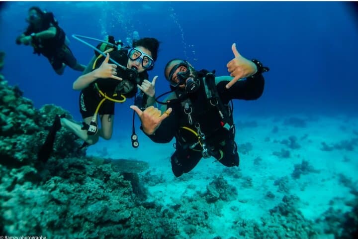 Introductory Red Sea Dive from Sharm El Sheikh: Beginner-Friendly Reef Experience photo 3