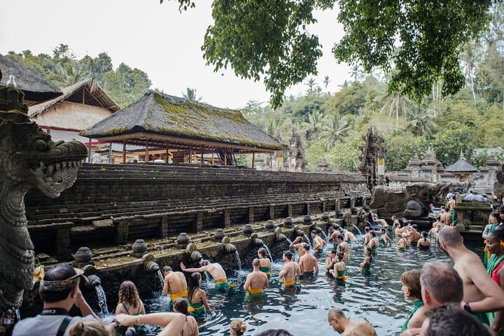 Ubud Small-Group Day Tour: Monkey Forest, Tegalalang Rice Terraces & Tirta Empul photo 3