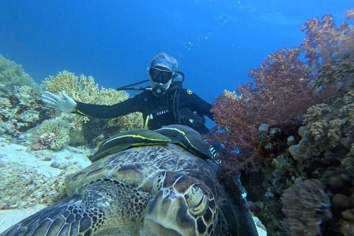 Introductory Red Sea Dive from Sharm El Sheikh: Beginner-Friendly Reef Experience photo 5