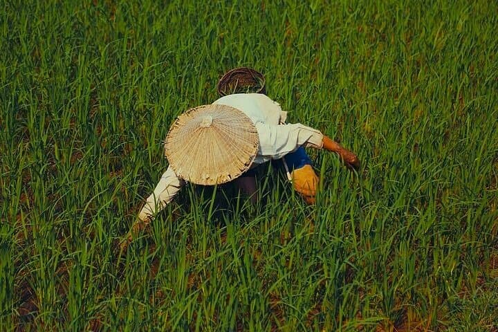 Mai Chau by Bicycle: Full-Day Cycling & Cultural Tour from Hanoi photo 4