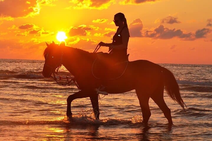 Sunset Horse & Camel Ride on Djerba Beach — 1-Hour Coastal Stroll photo 3