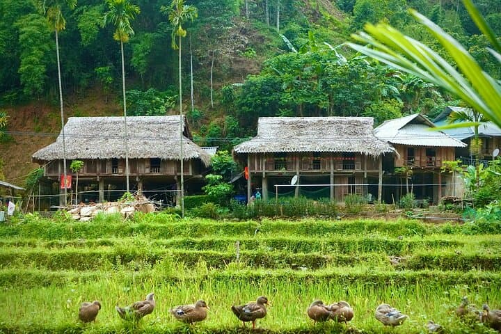 Mai Chau Day Trip from Hanoi: Bike Rice Fields, Thung Khe Pass & Mo Luong Cave photo 5
