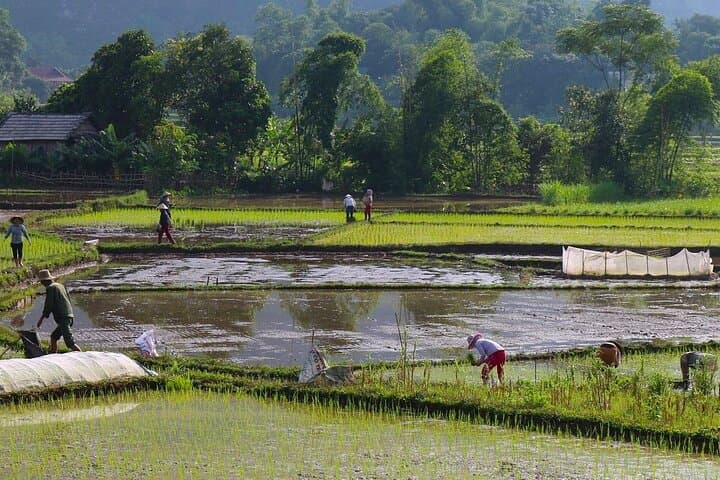 Luxury Mai Chau Day Trip: Biking, Mo Luong Cave & Thung Khe Pass from Hanoi photo 6