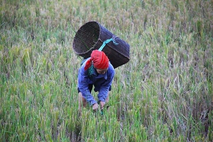 Hanoi to Mai Chau Day Trip: Biking White Thai Villages & Thung Khe Pass photo 4