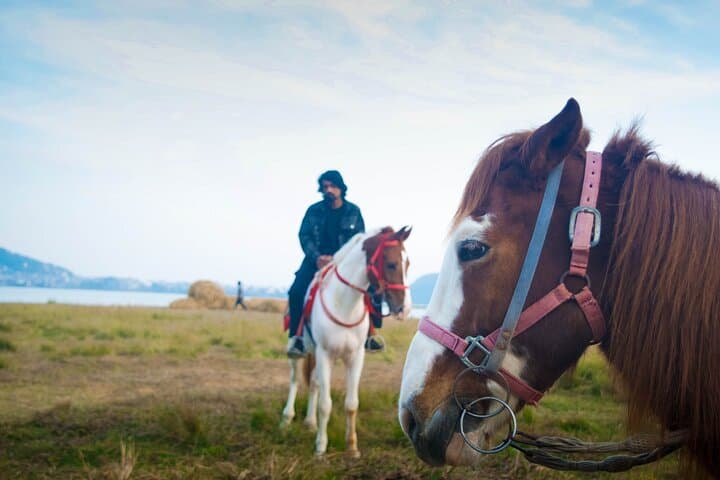 Horseback Riding to Sarangkot: 5-Hour Scenic Ride from Pokhara photo 5
