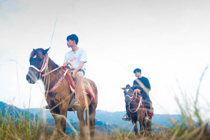 Horseback Riding to Sarangkot: 5-Hour Scenic Ride from Pokhara photo 6