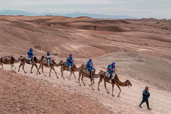 Agafay Desert Quad and Camel Ride — Sunset Safari from Marrakech photo 5