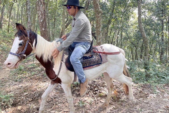 Pumdikot Horseback Ride: Full-Day Pokhara Tour to Mountain Viewpoints photo 6