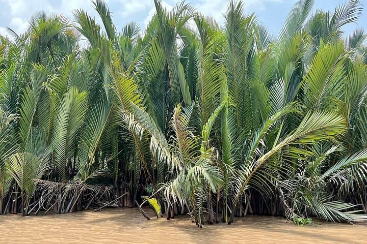 Mekong River Retreat — 2-Day Mekong Delta Floating Market & Village Adventure photo 6