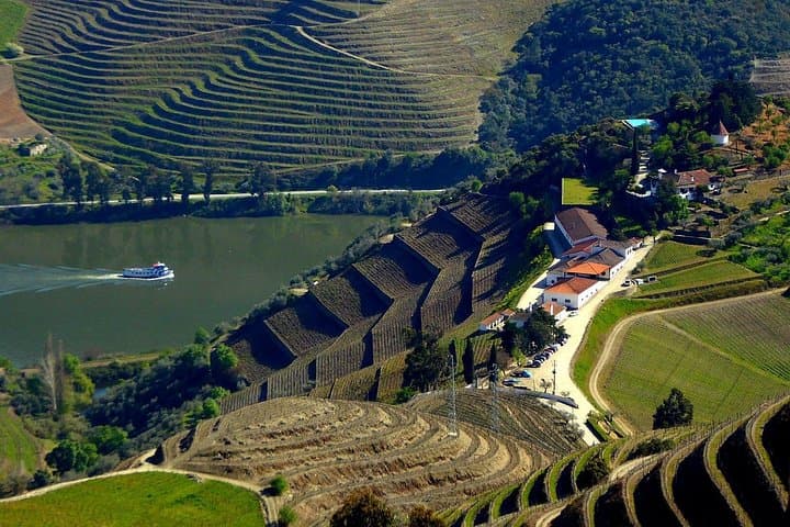 Douro Valley Private Cruise and Award-Winning Winery Lunch from Porto photo 3