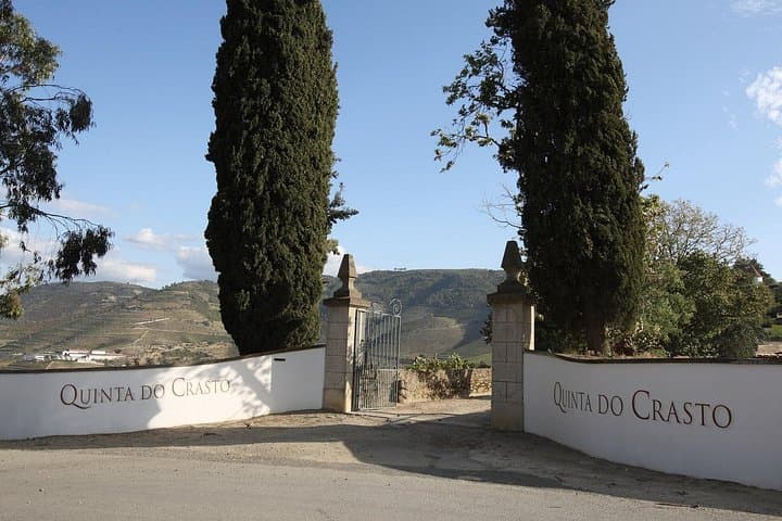 Douro Valley Private Cruise and Award-Winning Winery Lunch from Porto photo 4