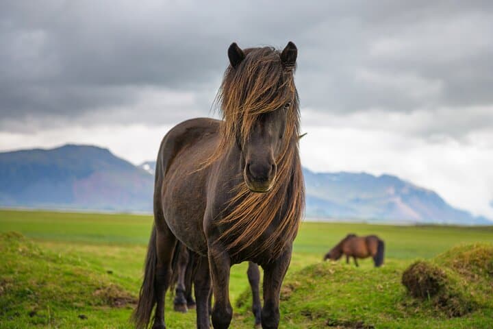 Snaefellsnes Peninsula Self-Guided Driving Tour: Audio Guide to Iceland’s Miniature Wonder photo 4