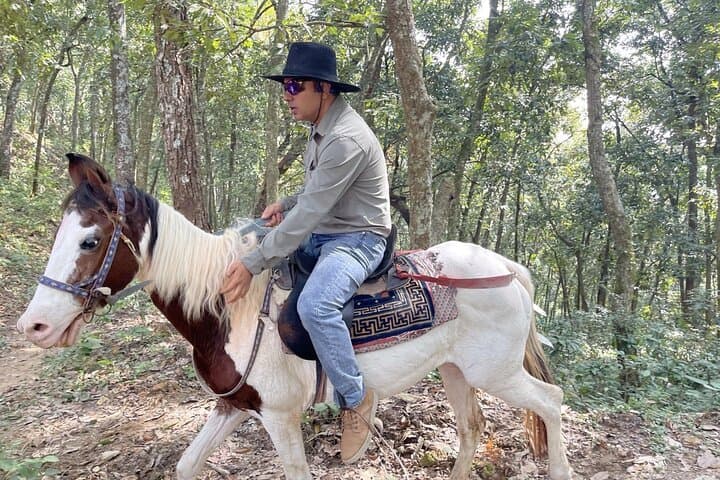 Half-Day Horse Riding Around Phewa Lake — Pokhara Countryside Ride photo 2