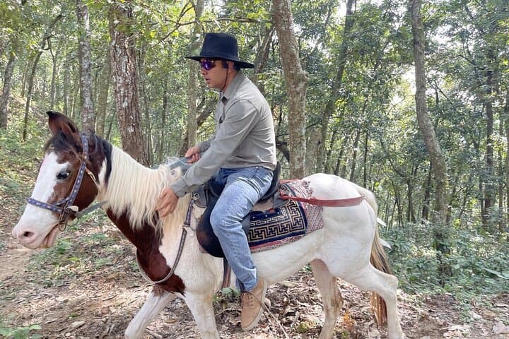 Full-Day Horse Ride to Sarangkot: Pokhara Countryside & Himalayan Views photo 1