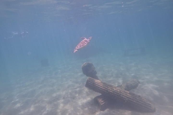 Snorkel-with-sea-turtles-in-san-juan-marine-sanctuary photo 4