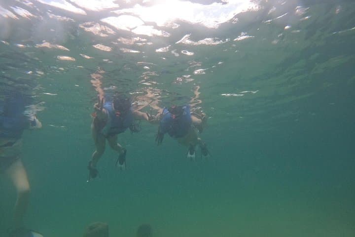 Snorkel-with-sea-turtles-in-san-juan-marine-sanctuary photo 5