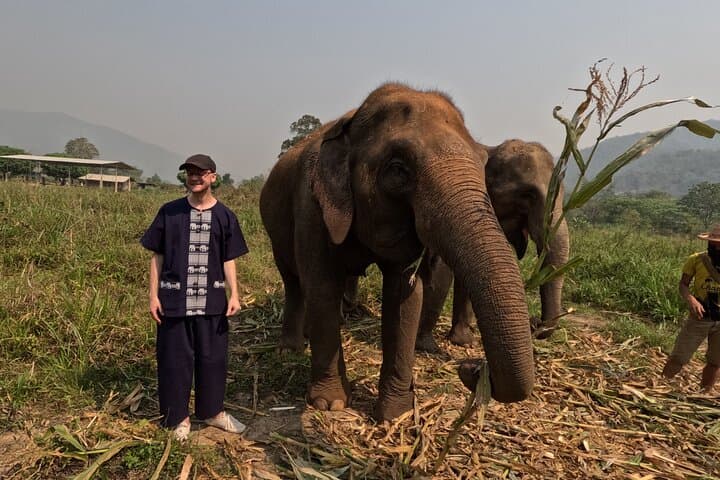 Ethical Half-Day Elephant Care Program Near Chiang Mai photo 6