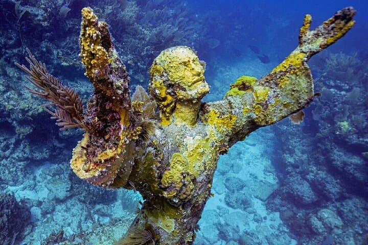 Explore the Vibrant Florida Keys Coral Reef: Half Day Snorkel Adventure in Key Largo photo 2