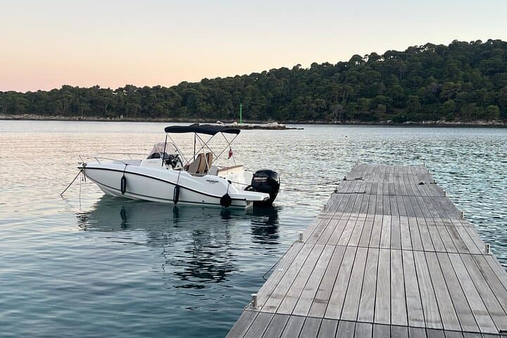Elaphite Islands Private Speedboat: Blue Caves, Šunj Beach & Lokrum Highlights photo 6