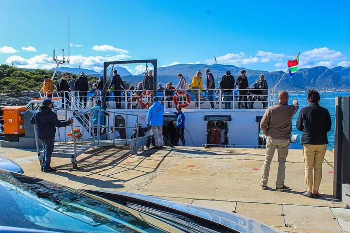 Hermanus Whale Watching Day Trip from Cape Town: Shore Whales, Penguins & Wine photo 4