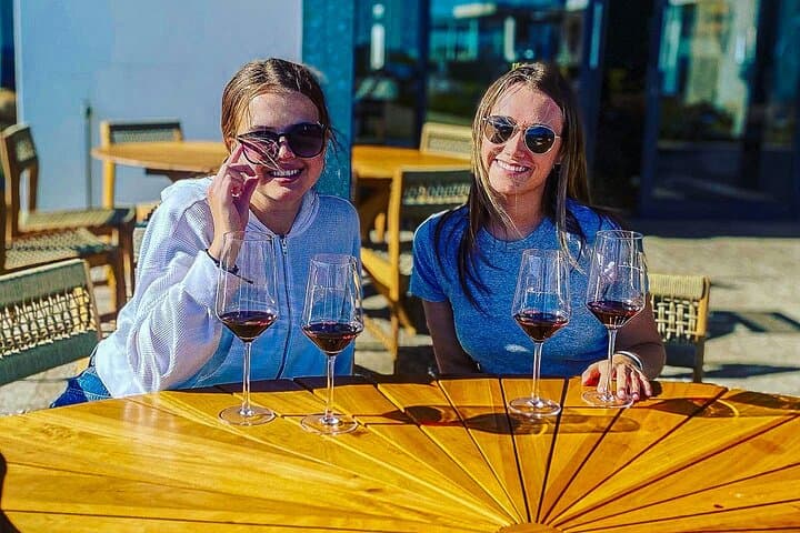 Private Constantia Wineries and Cape Beaches Day Tour from Cape Town