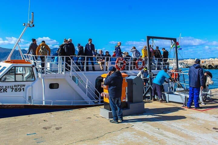 Hermanus Whale Watching Day Trip from Cape Town: Shore Whales, Penguins & Wine