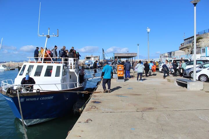 Hermanus Whale Watching Day Trip from Cape Town: Shore Whales, Penguins & Wine photo 5