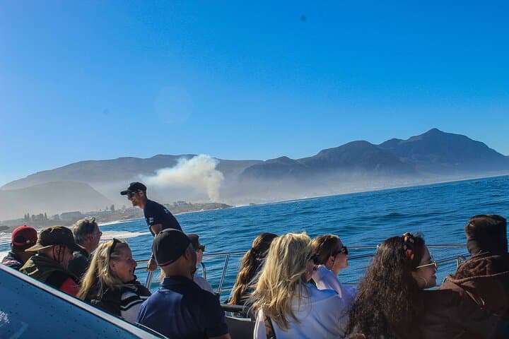 Whale Watching from Cape Town: Hermanus Penguins & Wine Day Trip photo 2