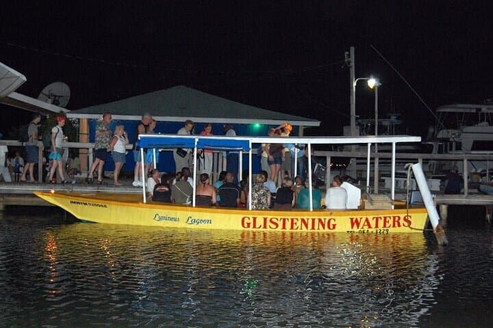 Luminous Lagoon Night Tour from Montego Bay — Swim with Bioluminescent Waters photo 6