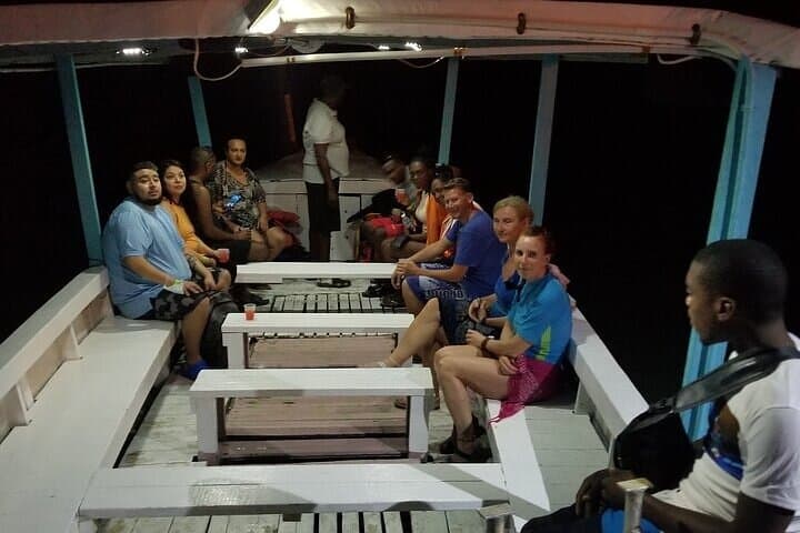 Glistening Waters: Luminous Lagoon Night Boat Tour in Falmouth, Jamaica