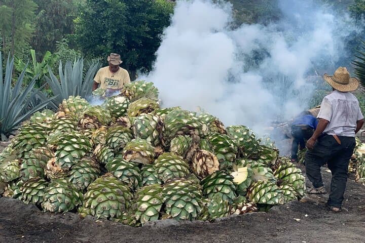 Oaxaca Mezcal Day Experience: Palenque Tour, Tasting & Agave Trek photo 5