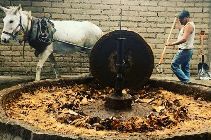 Oaxaca Mezcal Day Experience: Palenque Tour, Tasting & Agave Trek photo 6