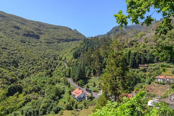 Full-Day Santana Madeira Island Tour: Eastern Coast Views & Traditional Thatched Houses photo 3
