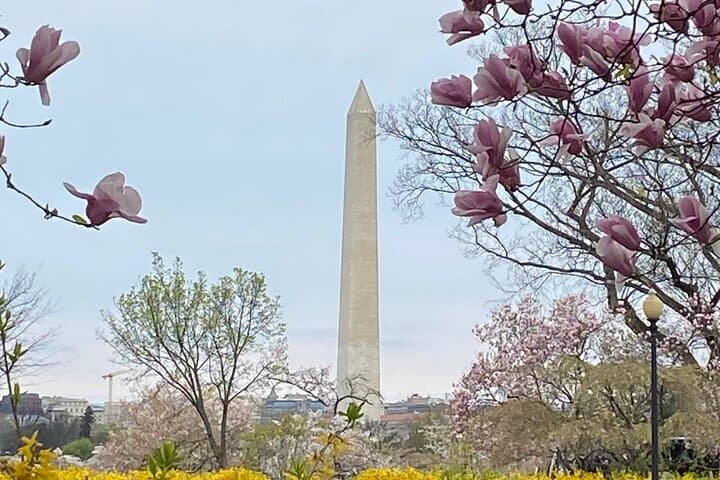 Beyond the Closet: Washington DC LGBTQ History Walking Tour photo 5