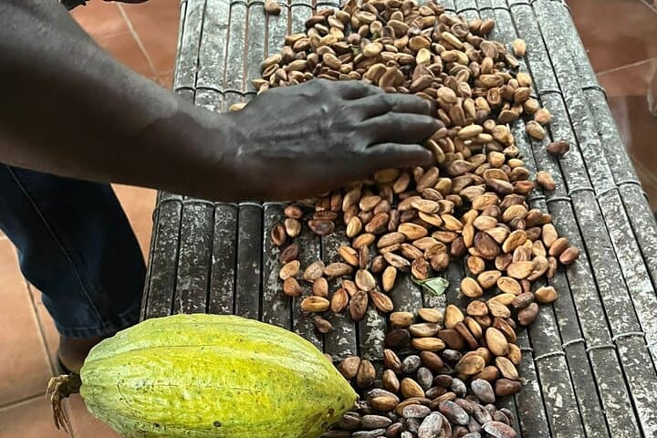 Aburi Botanical Gardens, Boti Falls & Cocoa Farm Day Tour from Accra photo 4