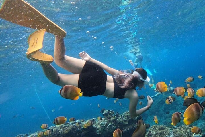 Cham Island Snorkeling: Day Trip from Hoi An & Da Nang to Cu Lao Cham