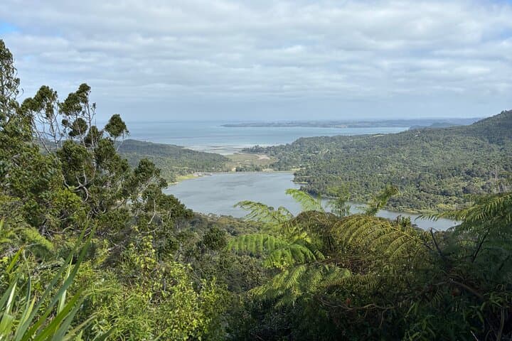 Private Auckland Day Tour: Piha Beach, Rainforest & City Highlights photo 3