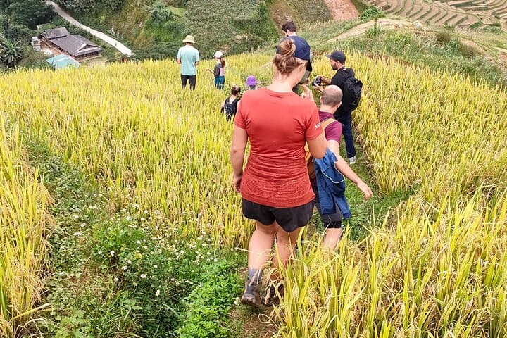 Full-Day Private Trek Through Mu Cang Chai Rice Terraces