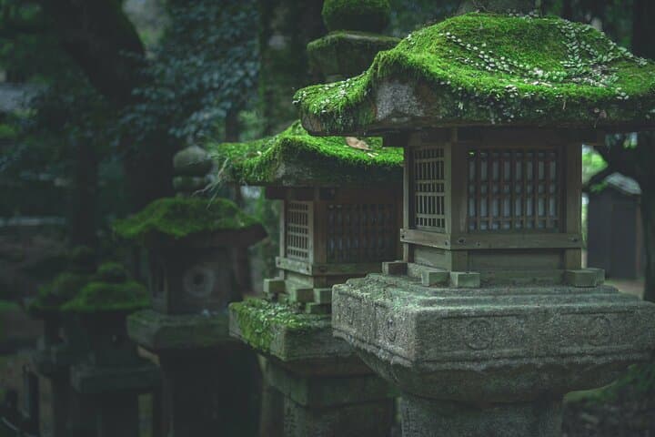 Nara Culinary Tour with a Chef: Food, Deer, and Iconic Temples photo 6
