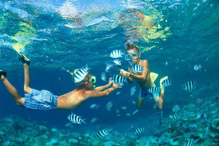 Phi Phi Islands Day Tour from Khaolak — Speedboat Snorkel to Maya Bay & Pileh Lagoon photo 4