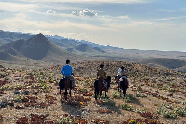 5-Day Nuratau Mountains Horseback Riding Tour — Sentob to Majerum Homestays
