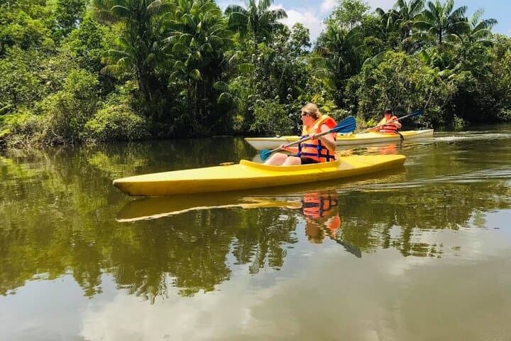 Private North Phu Quoc Island Day Tour — Ganh Dau, Rach Vem & Cua Can River