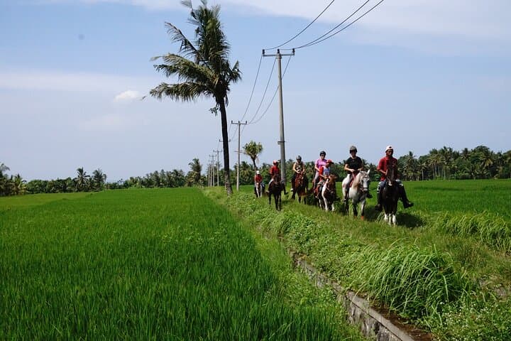 Sunset Horse Ride Across Bali Ricefields to Pig Stone Beach