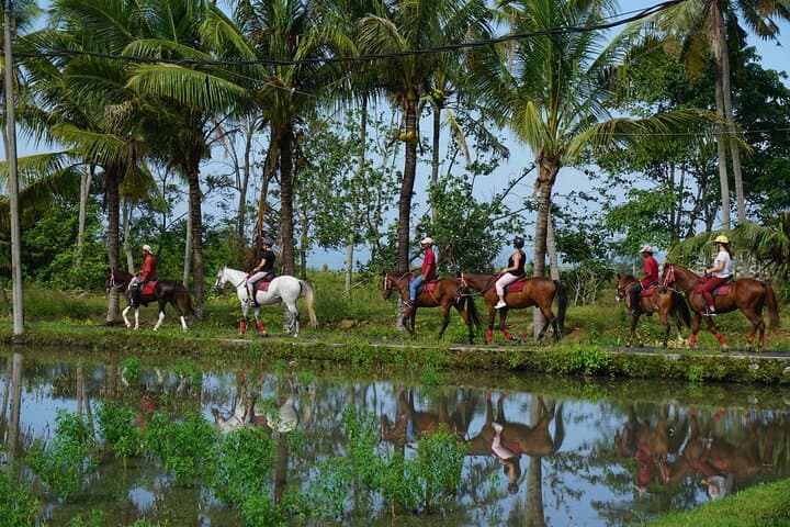 Sunset Horse Ride Across Bali Ricefields to Pig Stone Beach photo 3