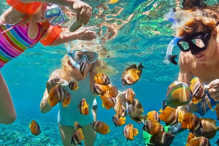 Montego Bay Reef Snorkeling Tour with Local Lunch & Shopping Stops photo 3
