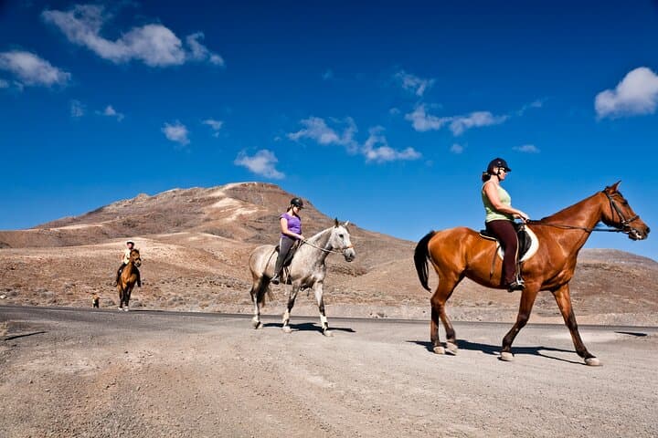 3-Day Nuratau Horse Riding Adventure: Homestays, Petroglyphs & Aydarkul Views