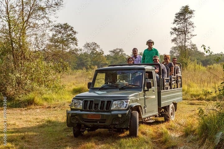 Chitwan Combo: Jeep Safari, Canoe Trip & Guided Jungle Walk photo 6