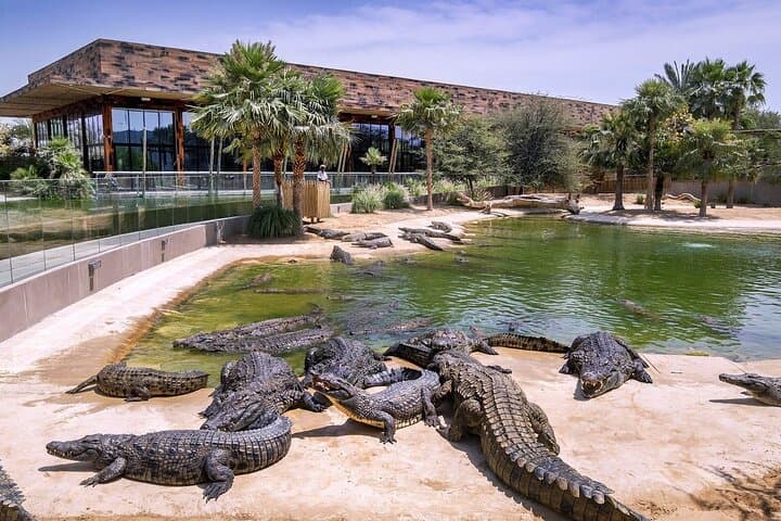 Dubai Crocodile Park Tour with Pickup — Nile Crocodiles, Walkways & Gardens